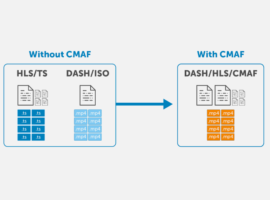 post-EMERGENCE-OF-CMAF-1