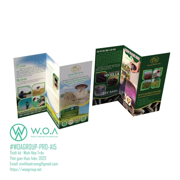 thiet-ke-bao-bi-sanpham-thuonghieu-woagroup-minhhoatran-brochure-67e10bb151bce (1)