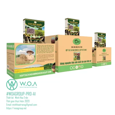 thiet-ke-bao-bi-sanpham-thuonghieu-woagroup-minhhoatran-hop-giay-bao-bi-gao-67e0dc2b62f89