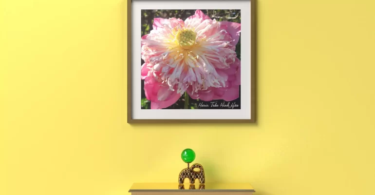 tranh-treo-tuong-8-67c6680dc020c