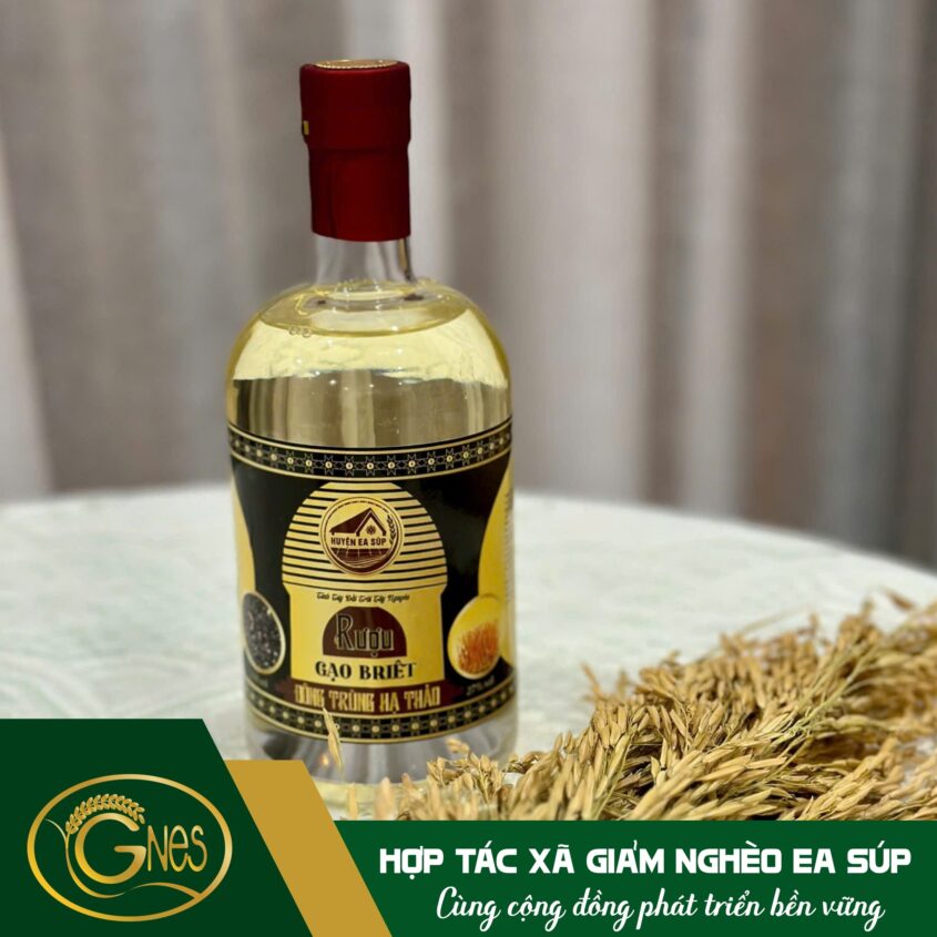 494665881_1259629826165537_1469790764243407726_n