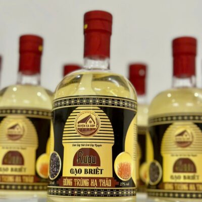 495570391_1259630192832167_2607864316282322465_n