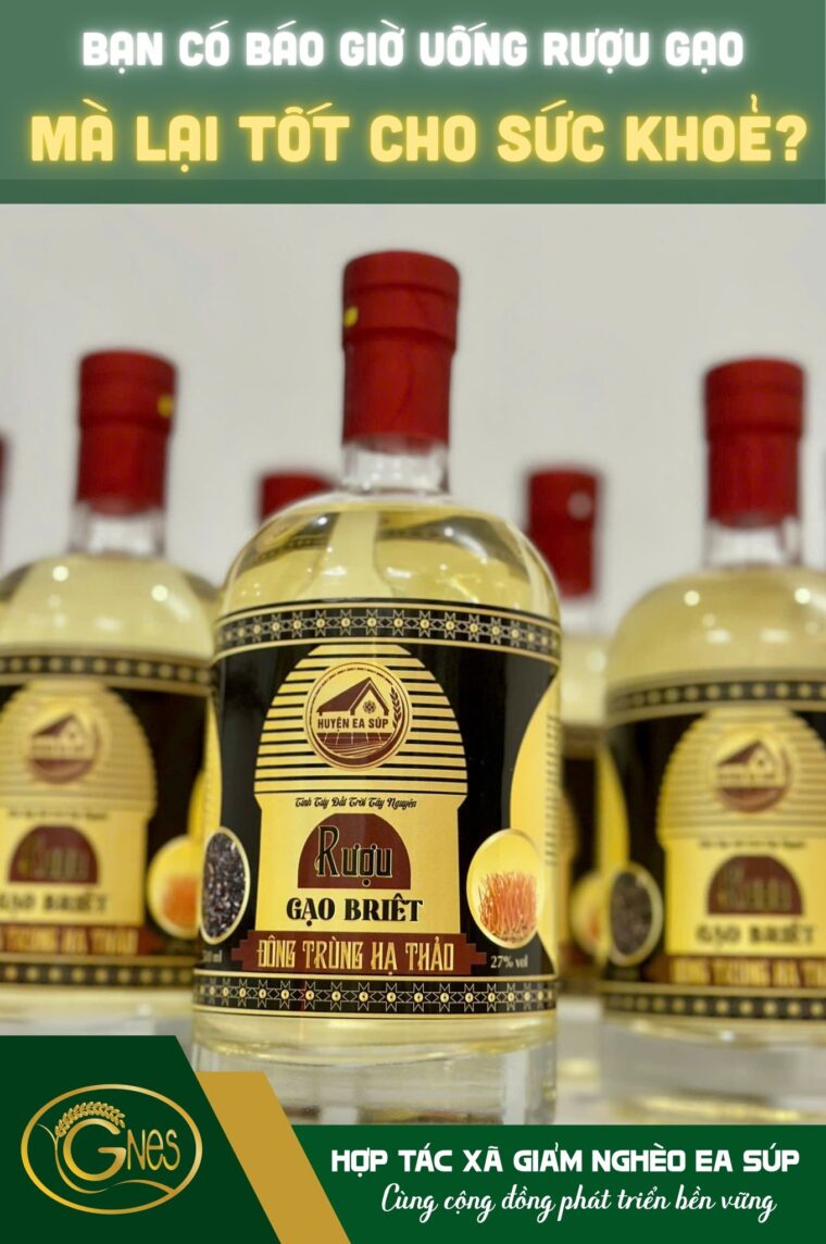 495570391_1259630192832167_2607864316282322465_n