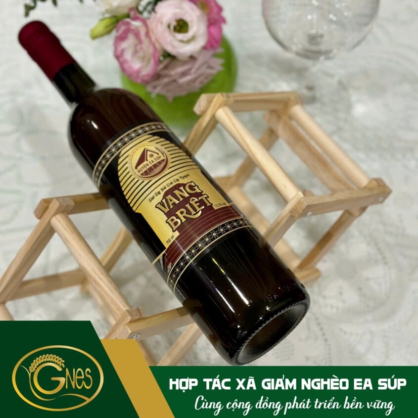 495576588_1259629822832204_1294150074578297951_n